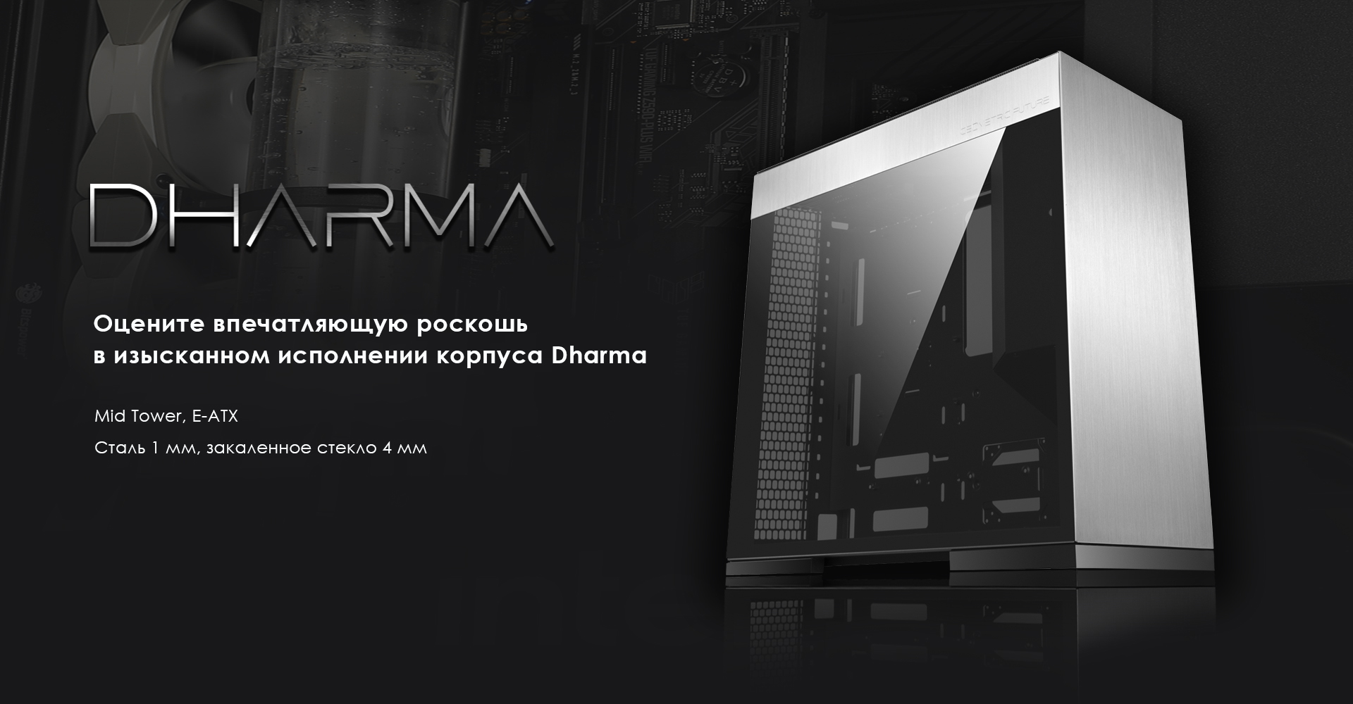 DHARMA!.jpg