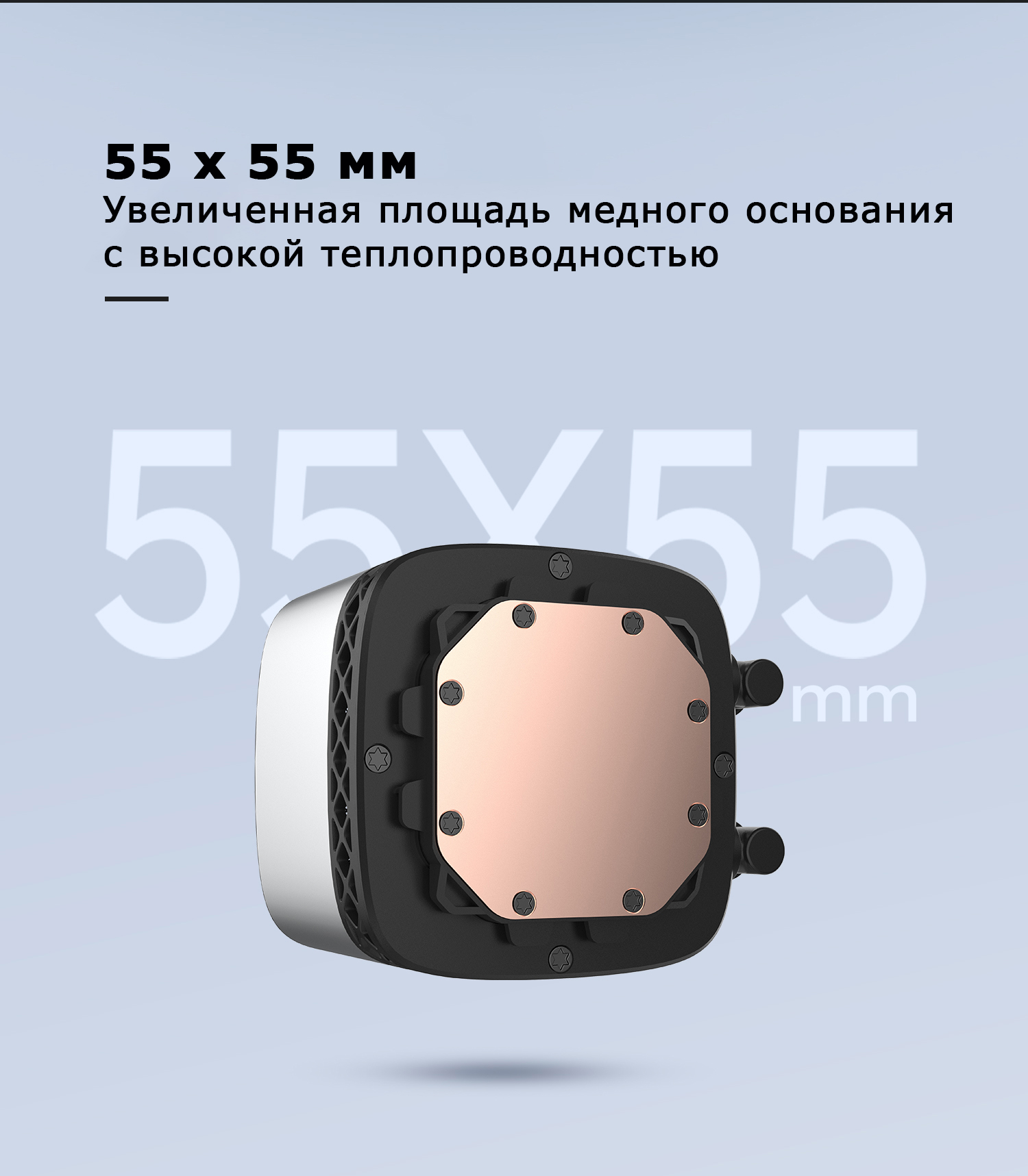 6!.jpg