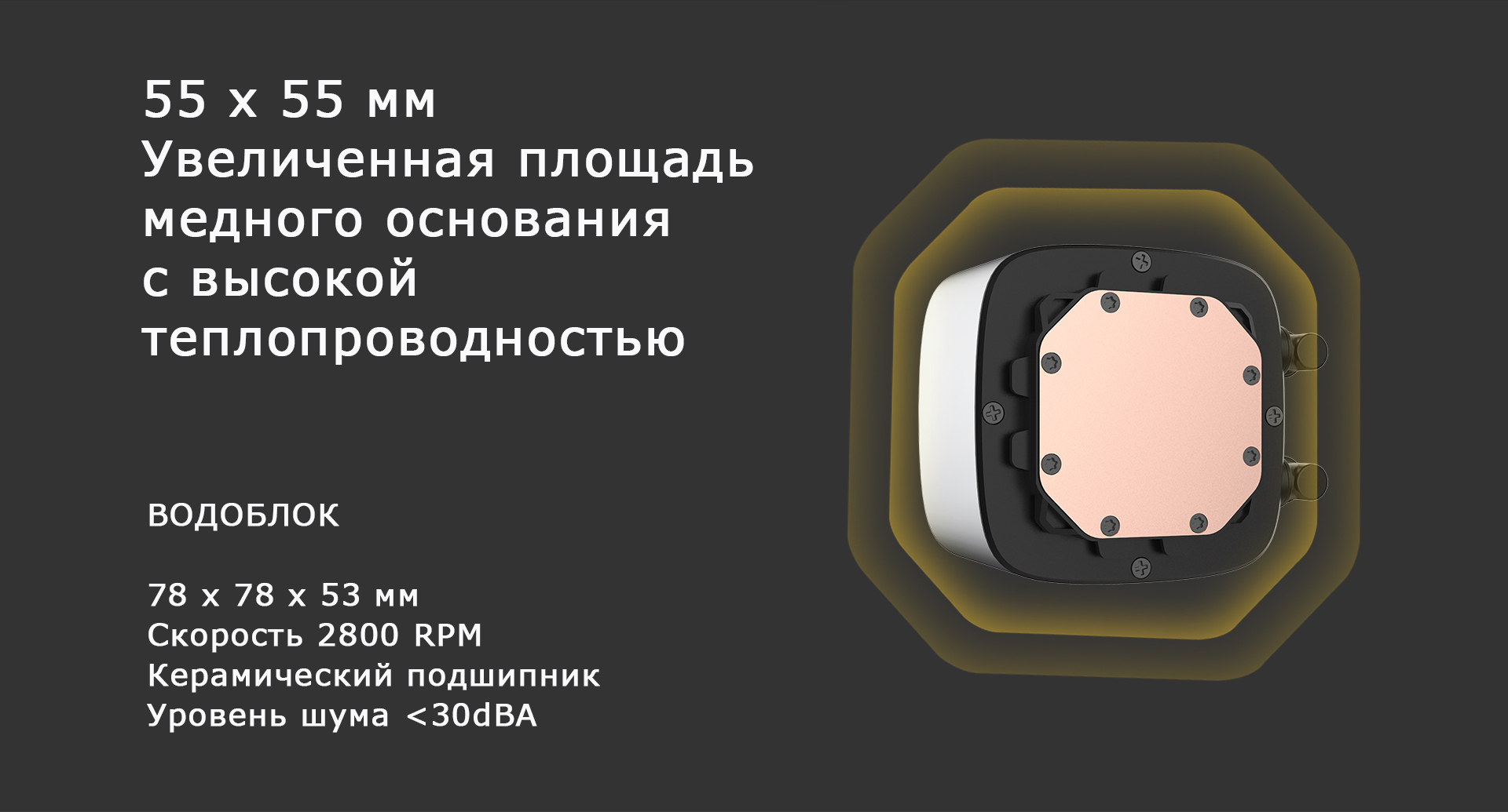 5!.jpg