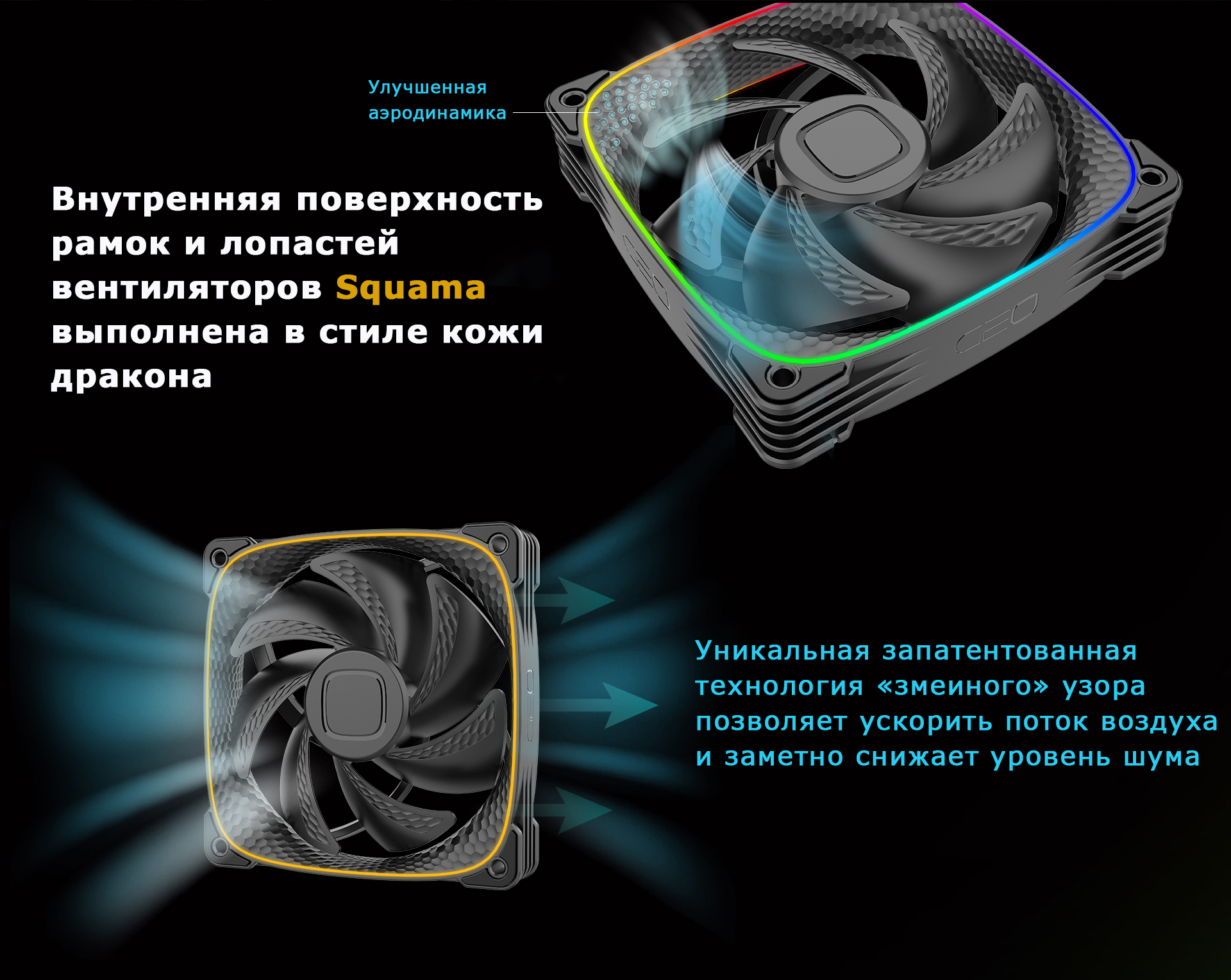 1726579907386125.jpg 2!.jpg