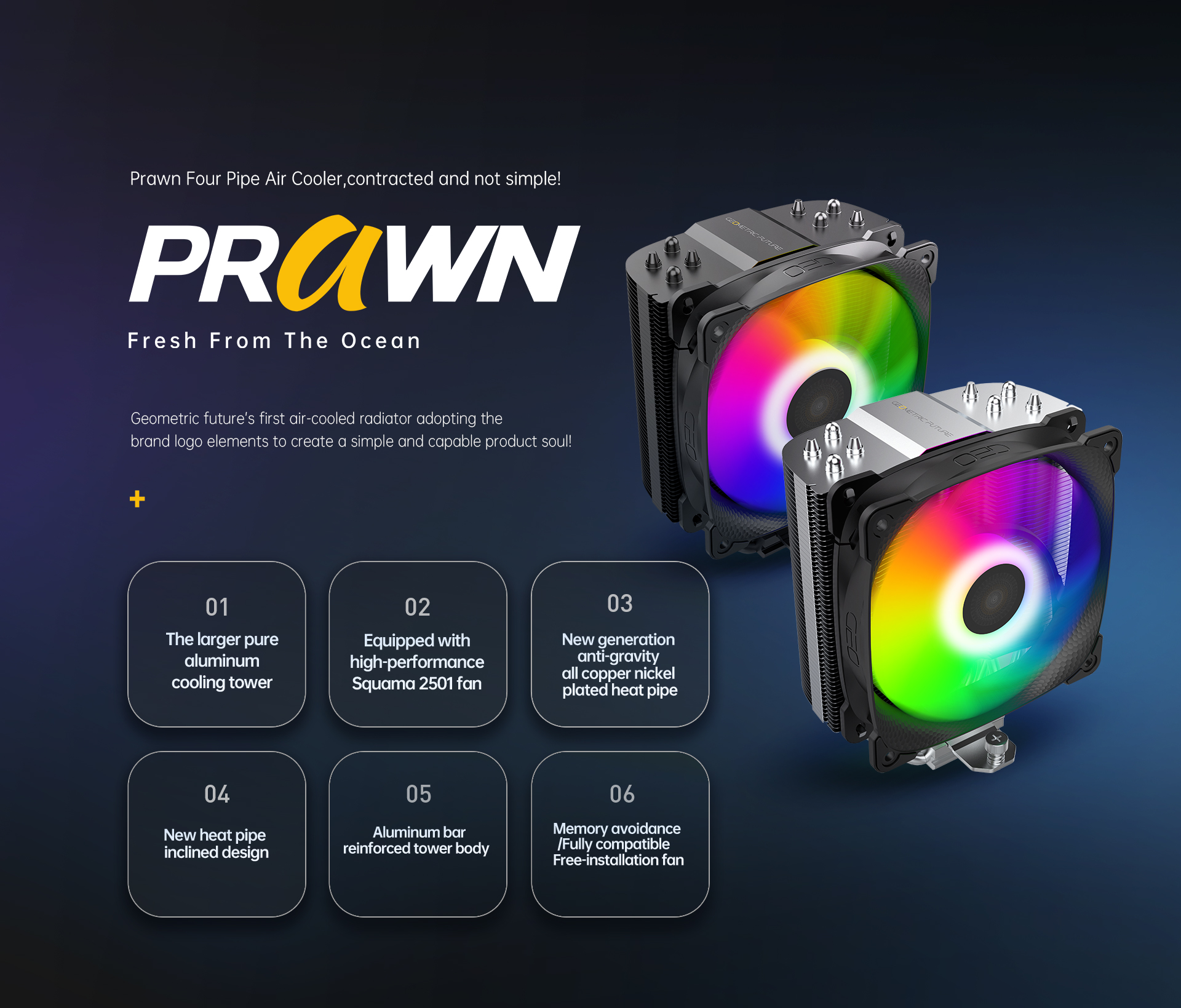 Prawn_01.jpg