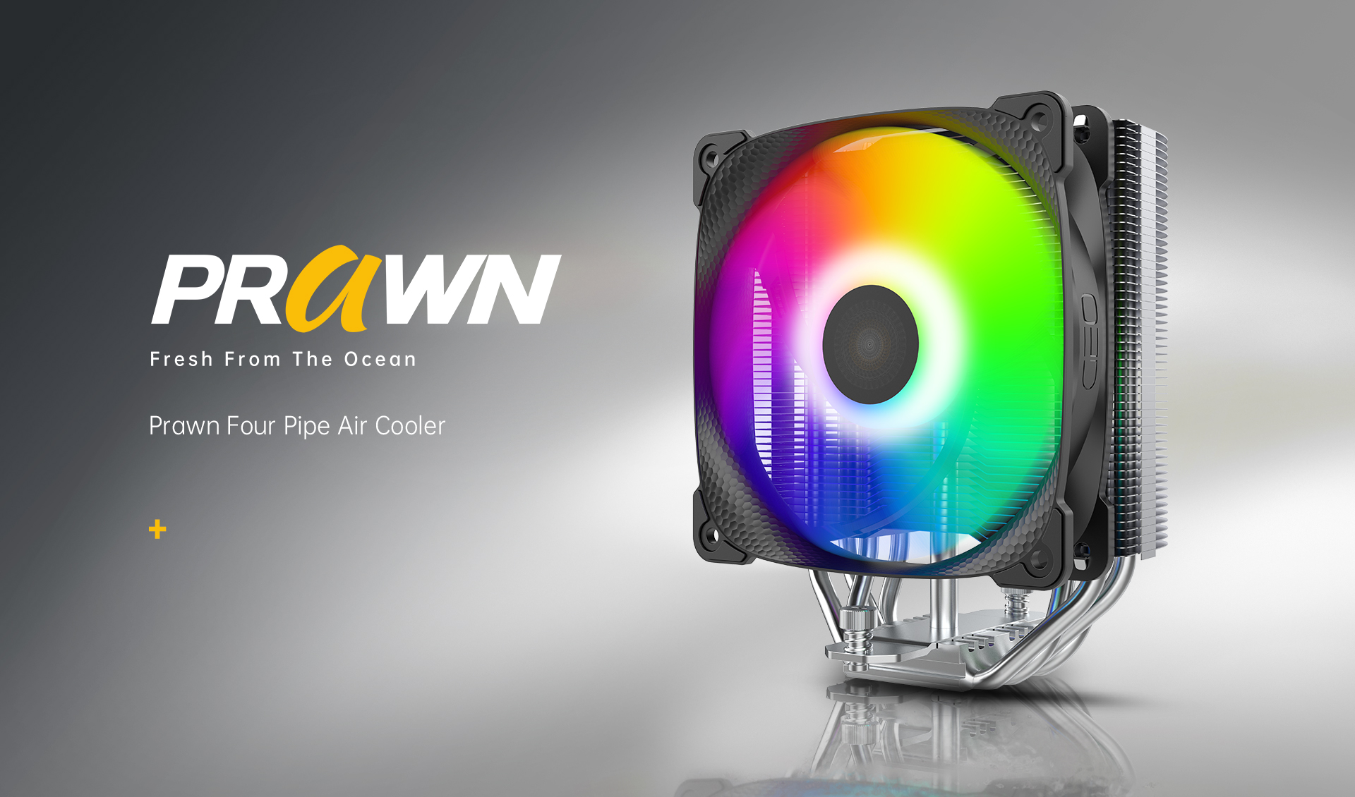 Prawn_02.jpg